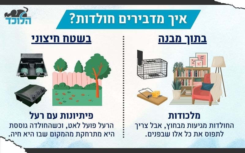 איך מדבירים חולדות